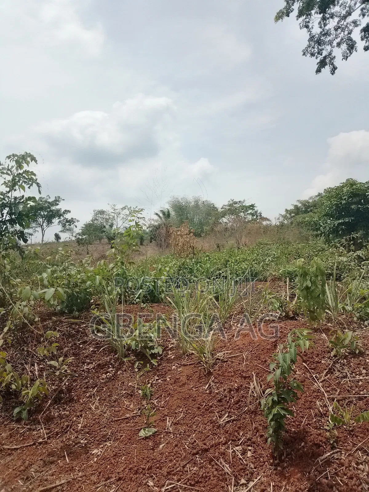Plots of Land for Sale at Ashero Siun Ogun State