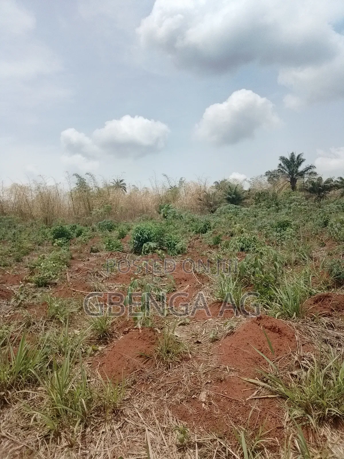 Land for Sale at Rainbow Garden