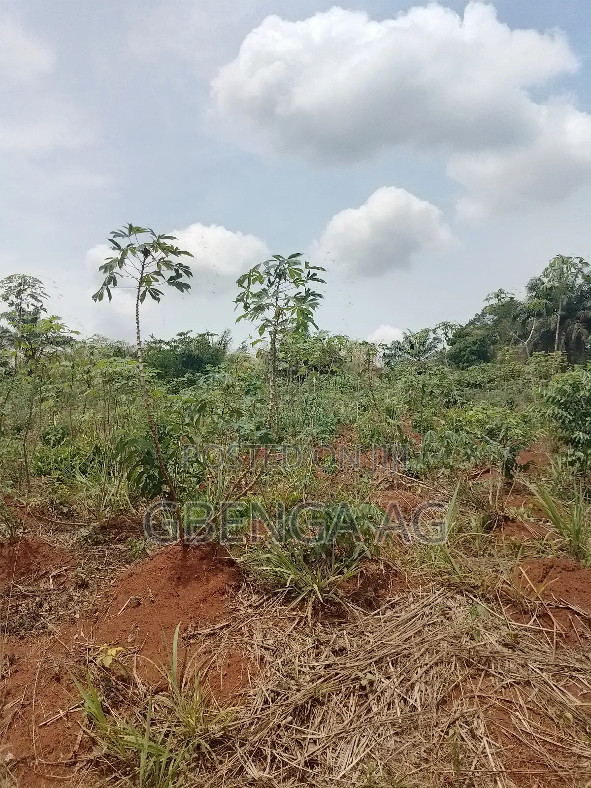 Land for Sale at Rainbow Garden