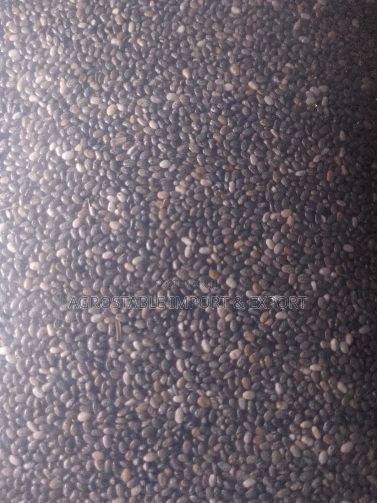 Chia Seeds