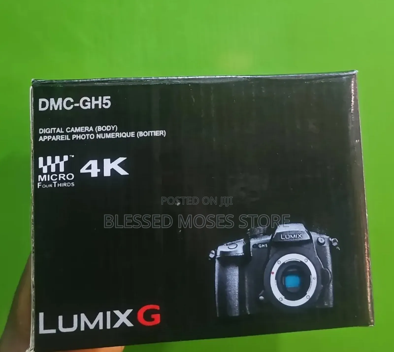Panoramic Lumix Gh5 Camera