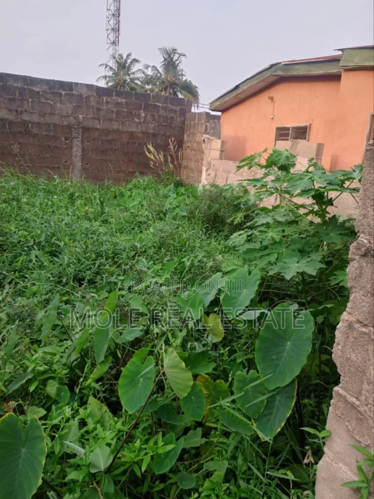 Ramadan Promo 30% Off Ijegun Plots Close to Bustop