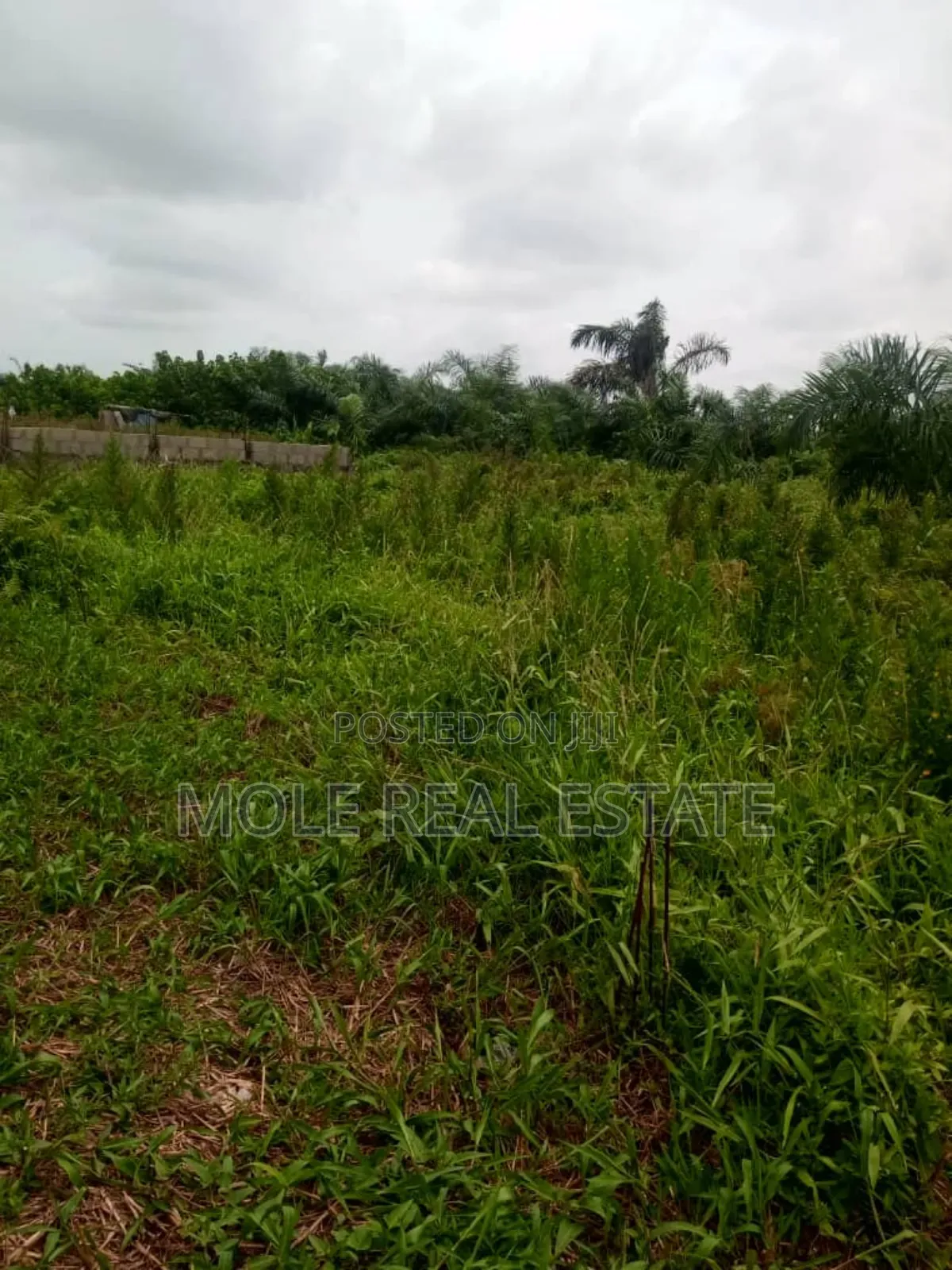 Ramadan Promo 30% Off Ijegun Plots Close to Bustop