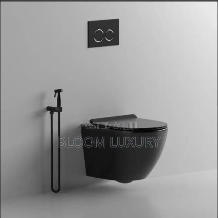 Matt Black Conceal Toilet