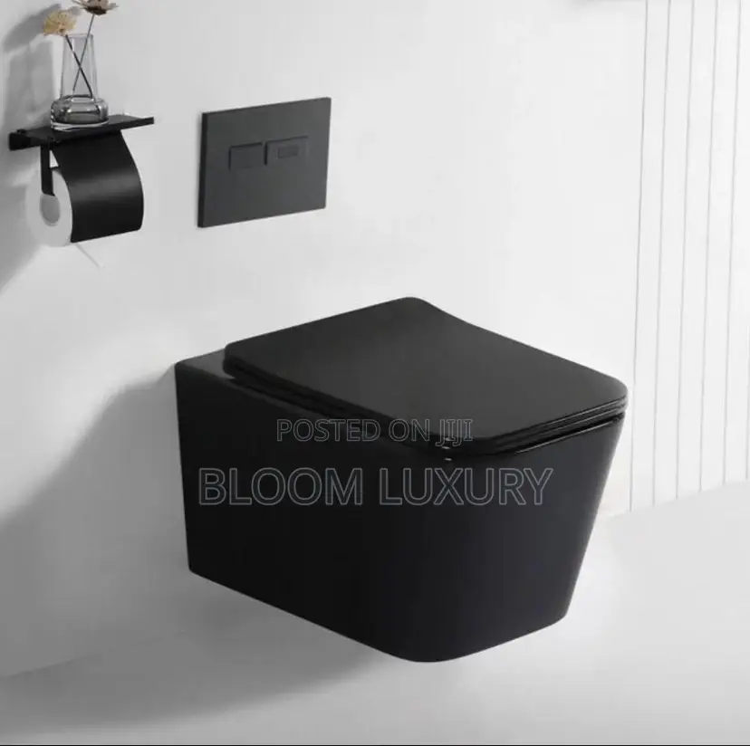 Matt Black Conceal Toilet
