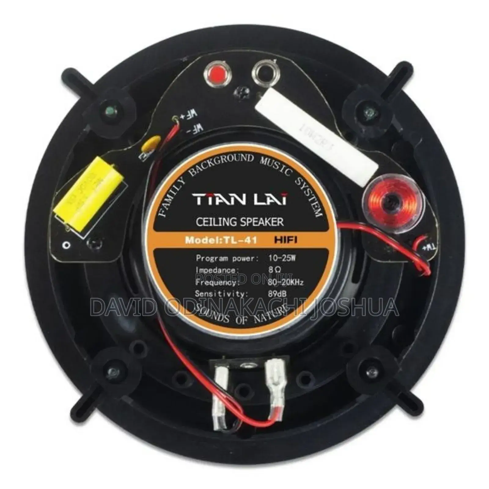 Hifi Bluetooth Ceiling Speaker 30w