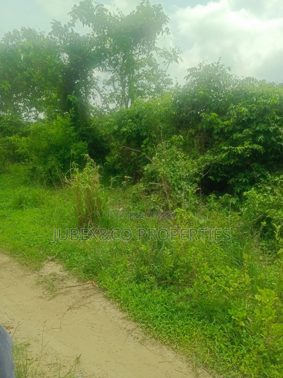 Acres of Land at Igbojila