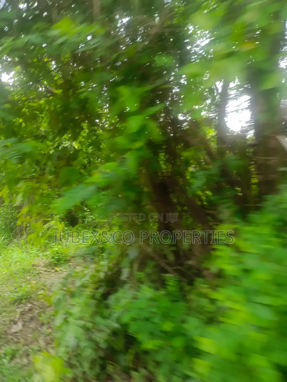 Acres of Land at Igbojila
