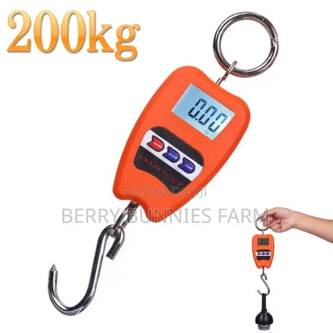 200kg Digital Hanging Scale