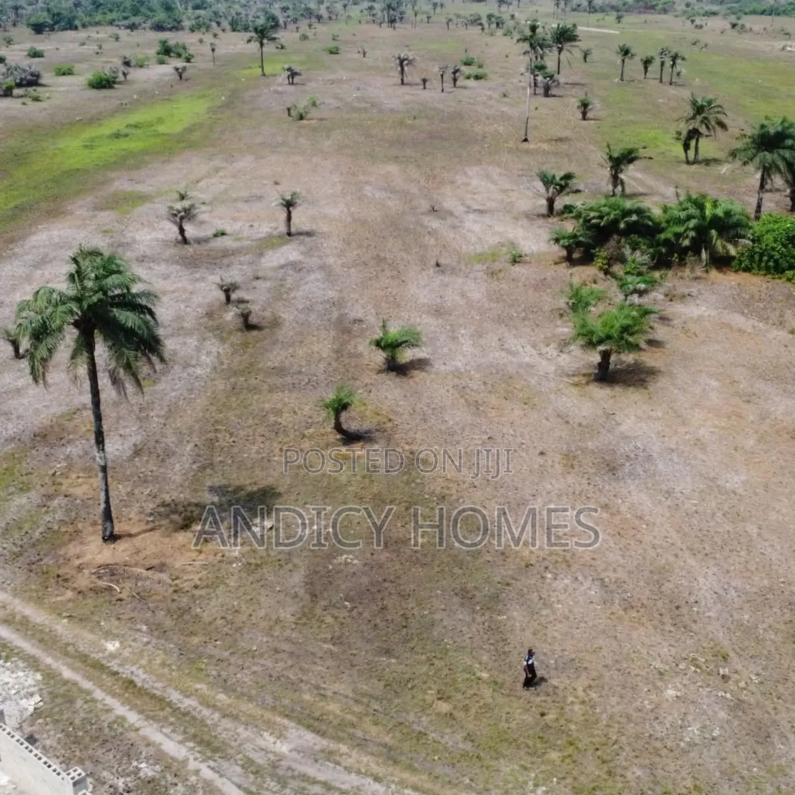 Affordable Land Facing the Lagos/Calabar Coastal Road Sale