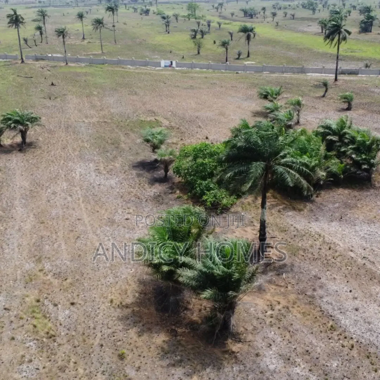 Affordable Land Facing the Lagos/Calabar Coastal Road Sale