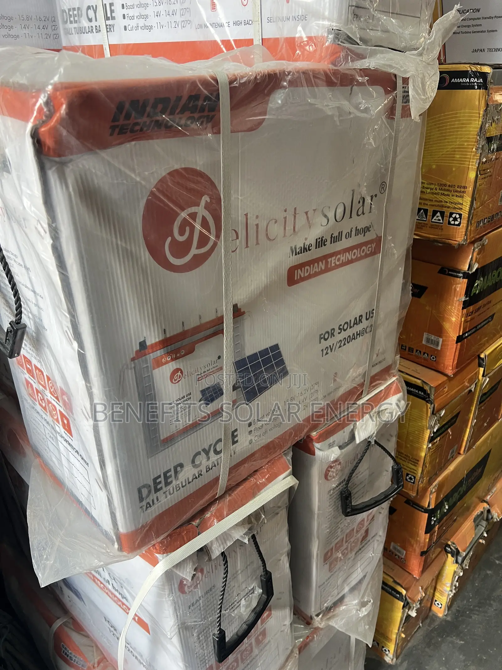 250Ah Delicity Tubular Battery