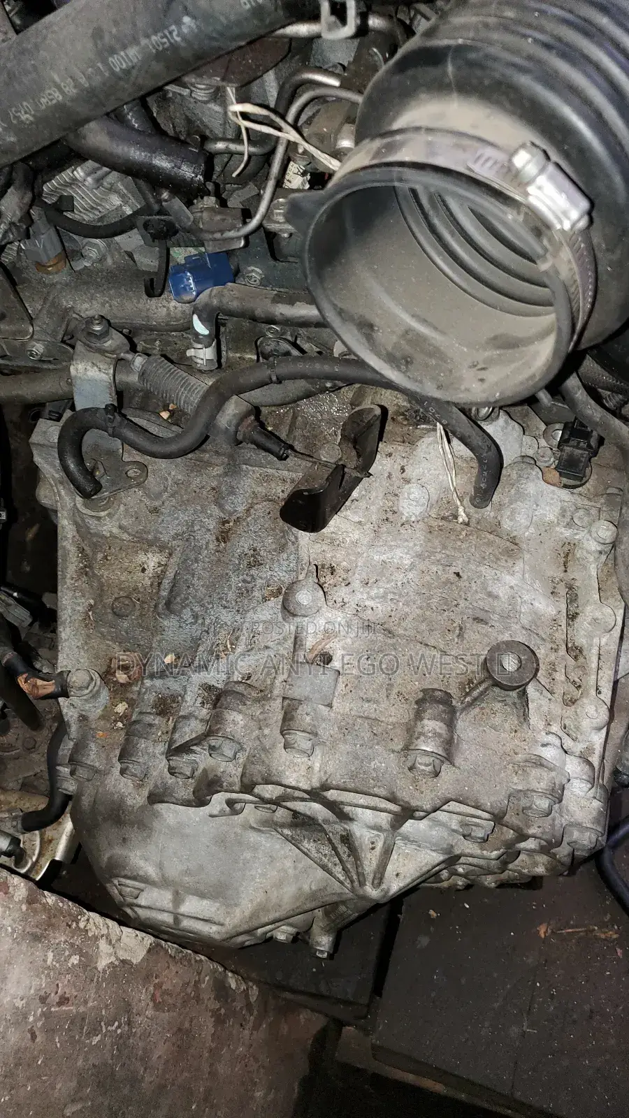 Nissan Maxima Transmission