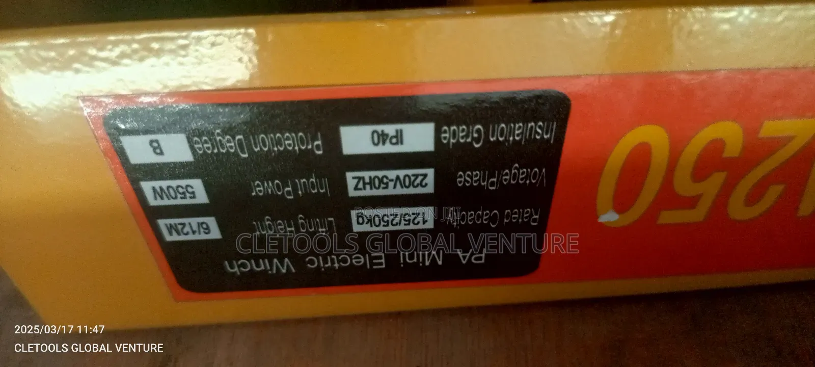 Electric Hoist 250kg