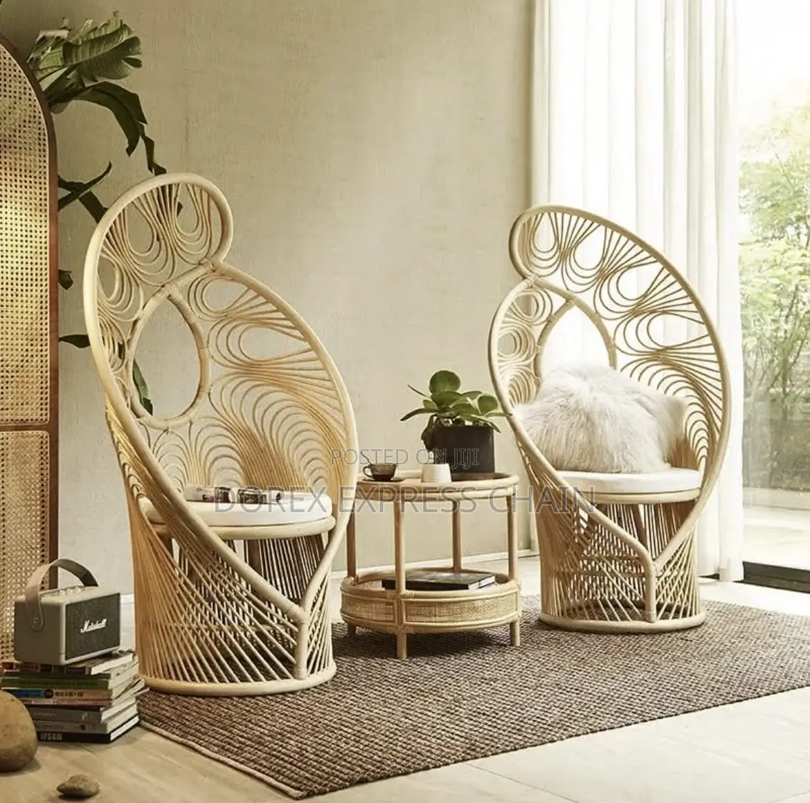 Outdoor Rattan Chair And Table / Peacock Rathan Chair
