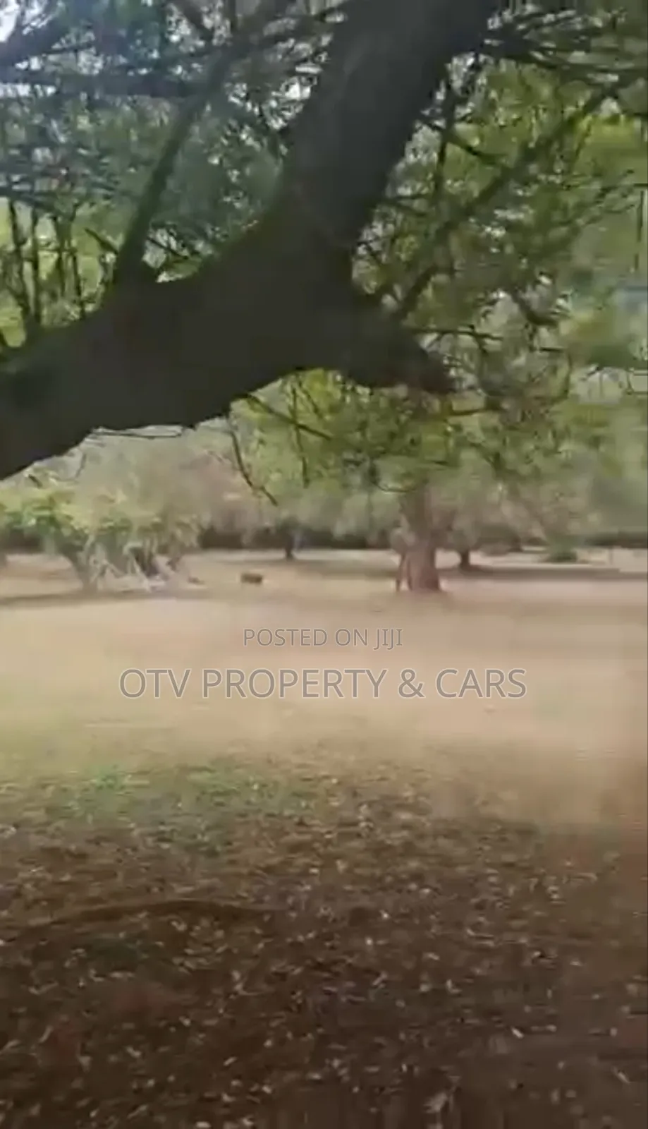 23 Acres of Land for Sale at Oregun, Ikeja Lagos 72351