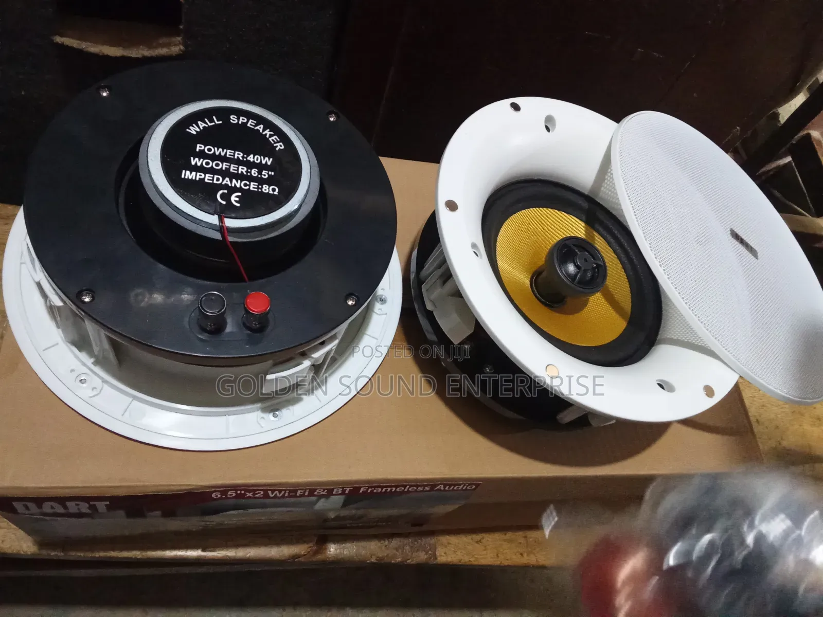 Dart Wi-Fi Bluetooth Celling Speaker