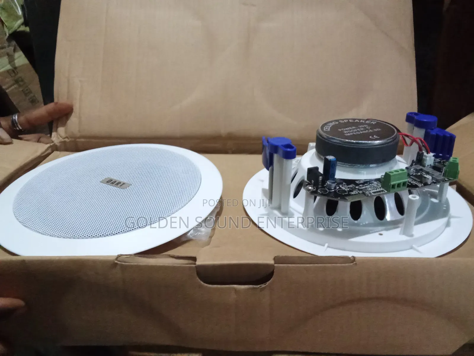 Dart 2 in 1 Bluetooth Celling Speaker
