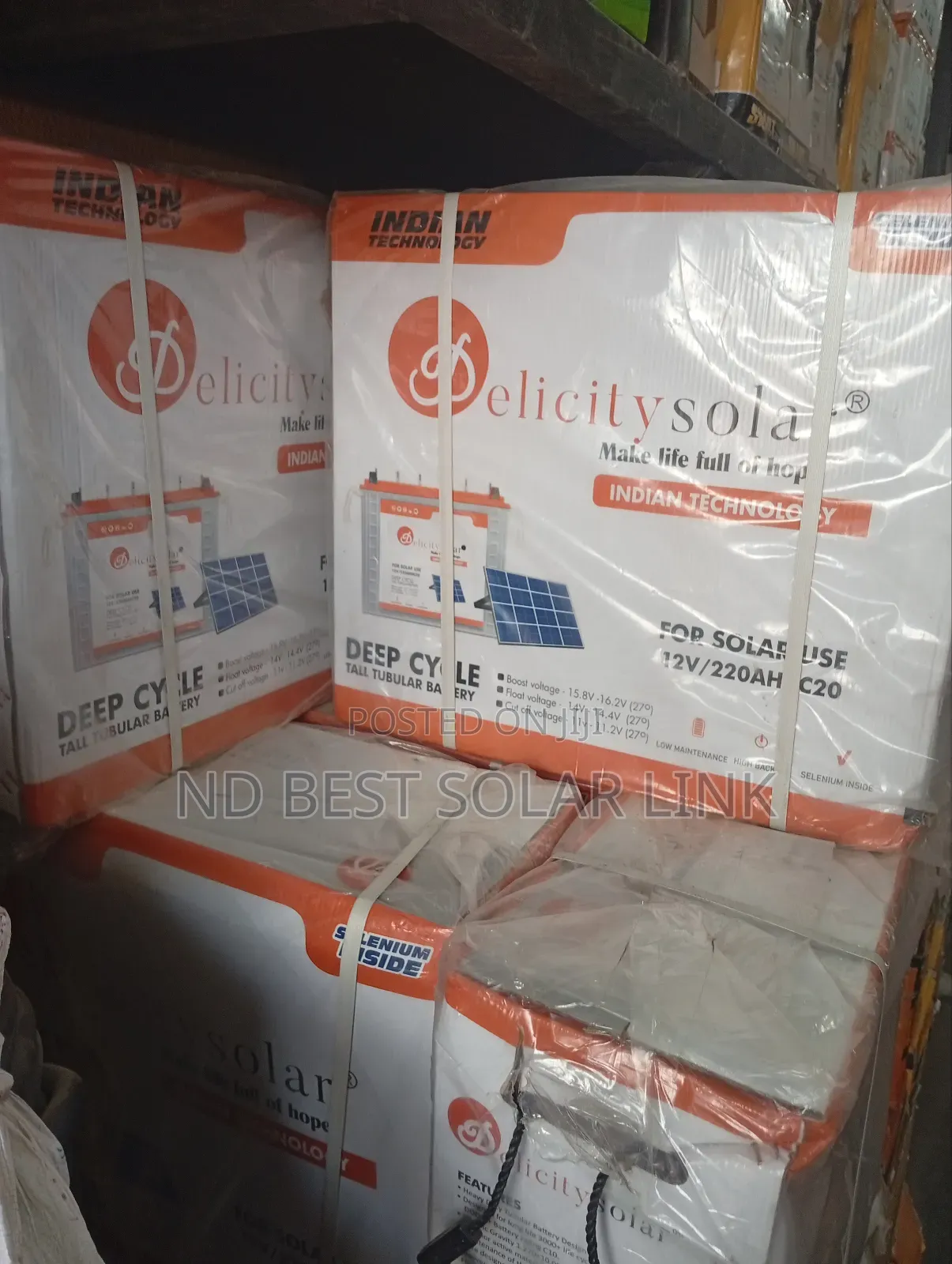 220ah Delicity Tubular Battery