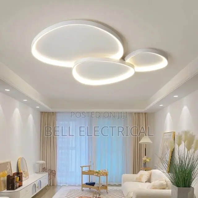 Ultrathin Black White Ceiling Light