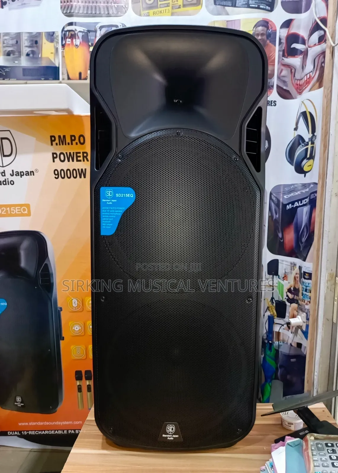 Double Pa System 15inches 9000w