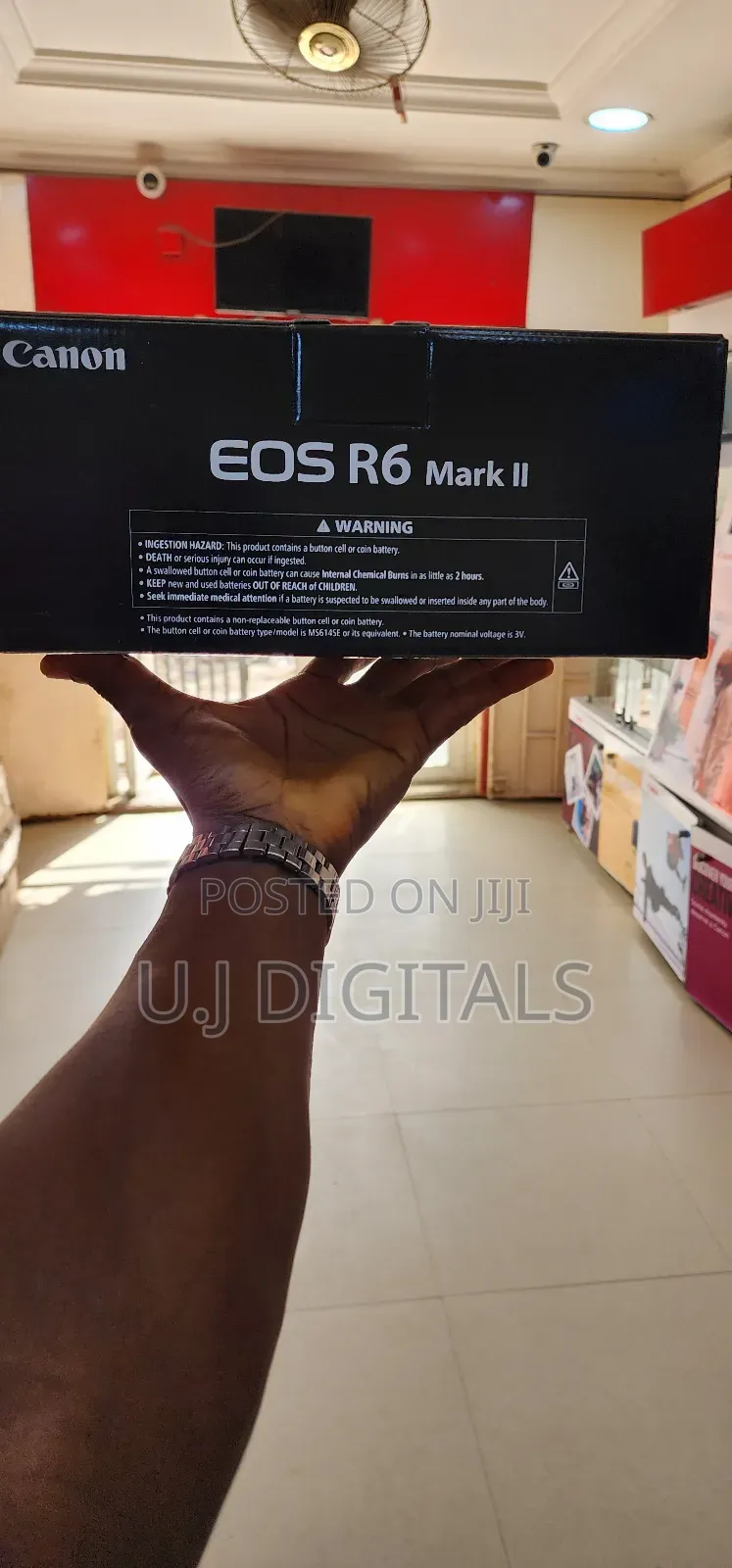 Canon Eos R6 Mark Ii Mirrorless Cameras