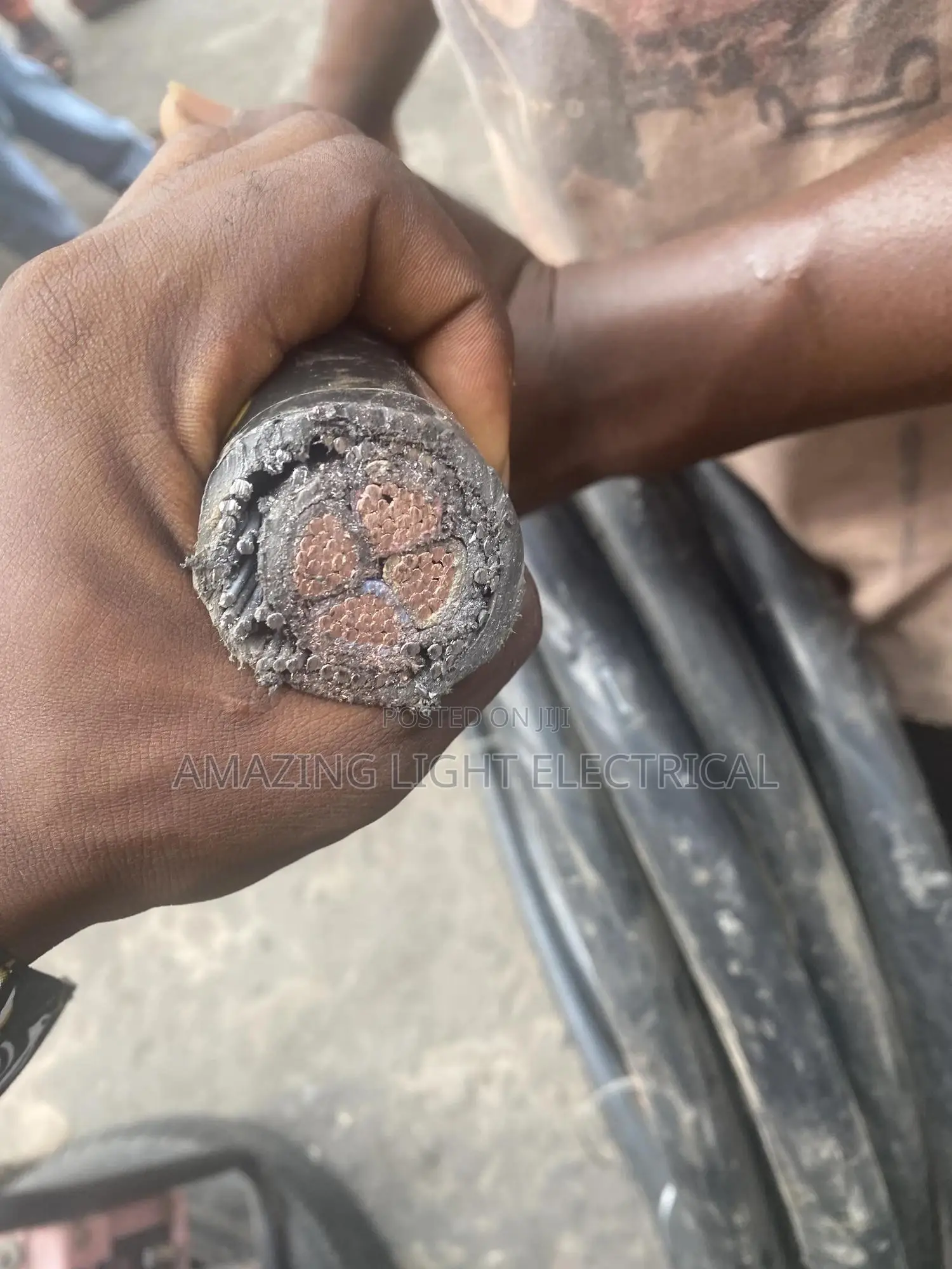 25mm Amorde Cable