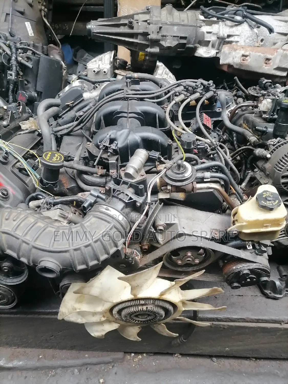 Ford Sport Trec Engine Available