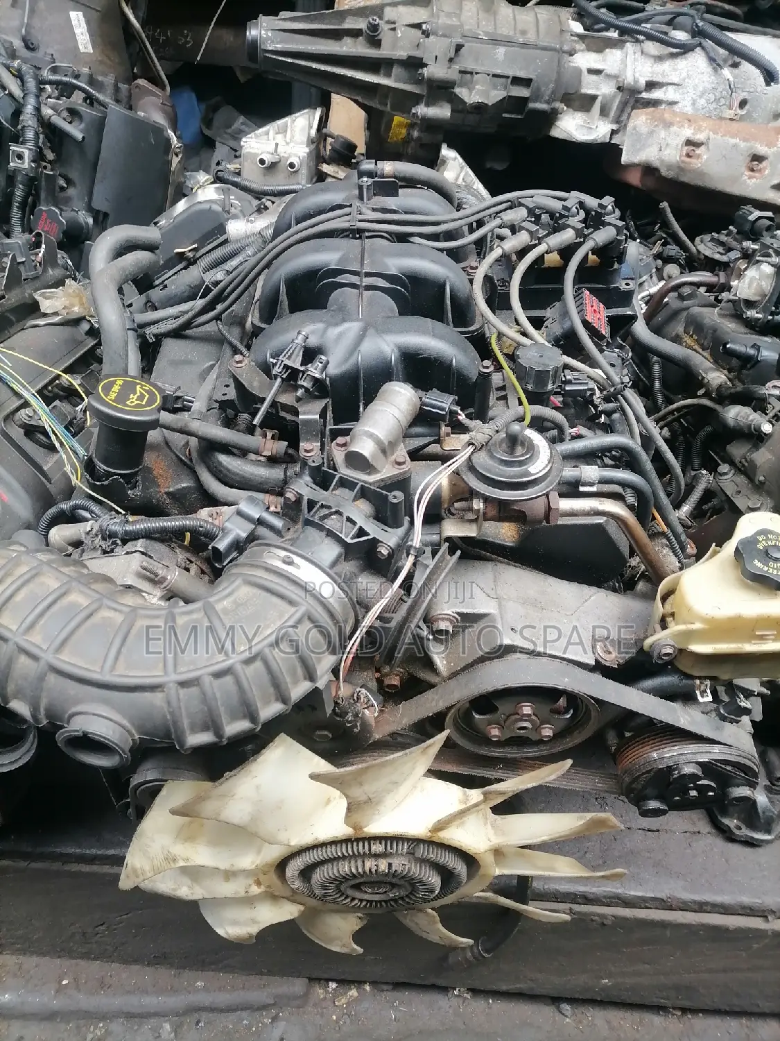 Ford Sport Trec Engine Available