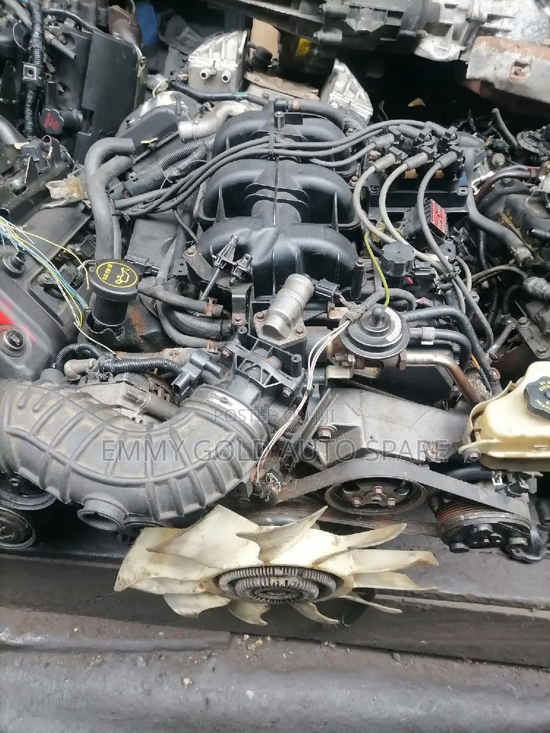 Ford Sport Trec Engine Available