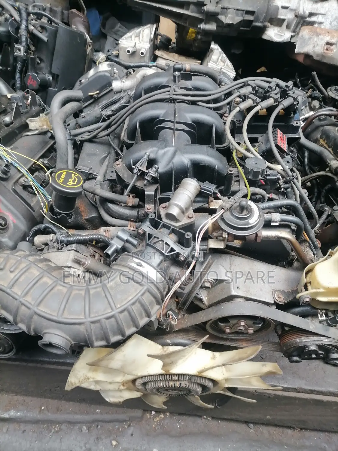 Ford Sport Trec Engine Available