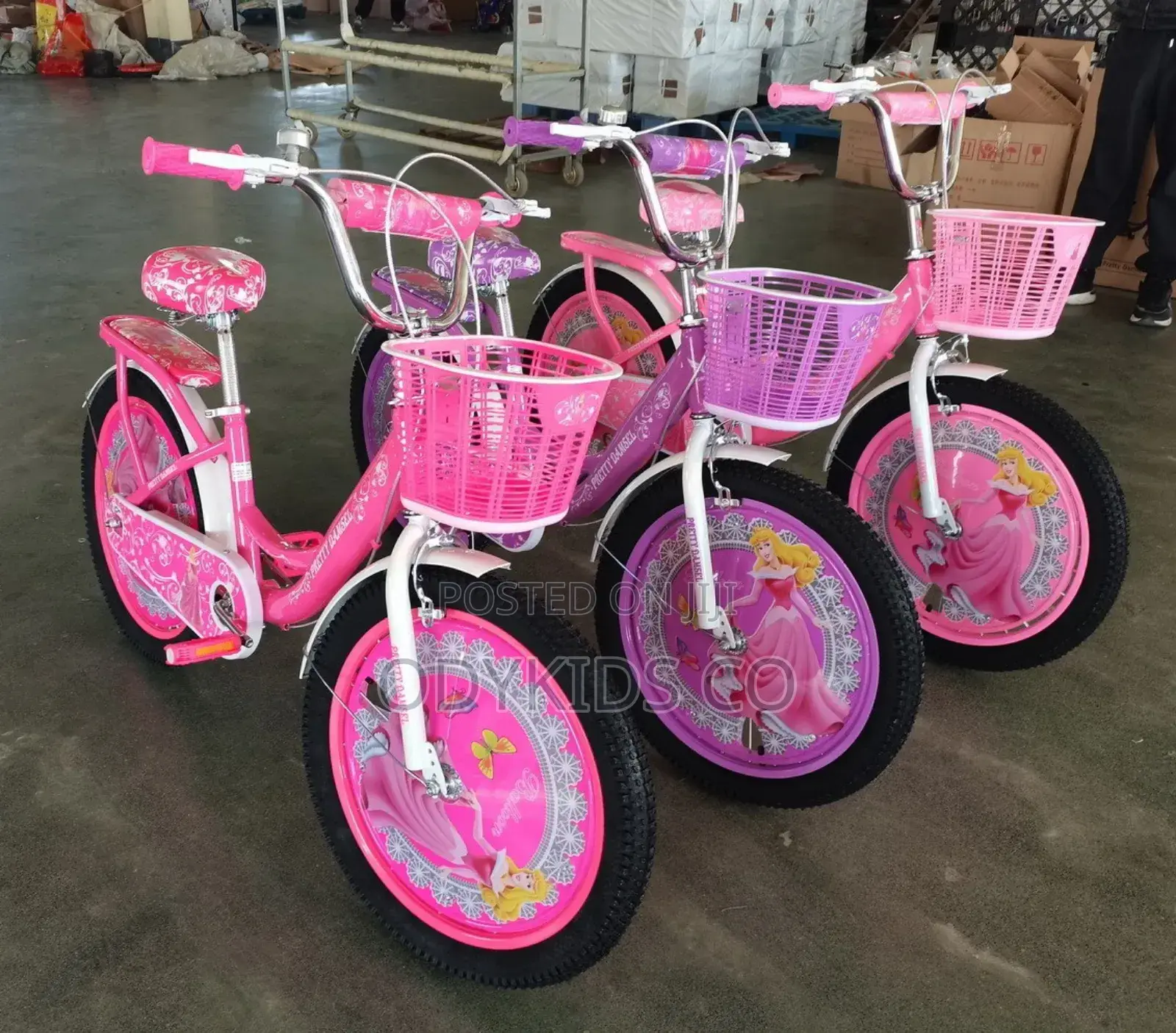 Girls Princess Character 20inchs Bicycle for 9 to 14 Years
