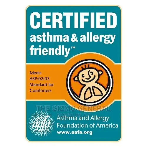 Breathewell 100% Organic Pillows, Asthma and Allergy Friendly (2 Pack)