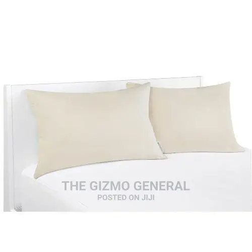 Breathewell 100% Organic Pillows, Asthma and Allergy Friendly (2 Pack)