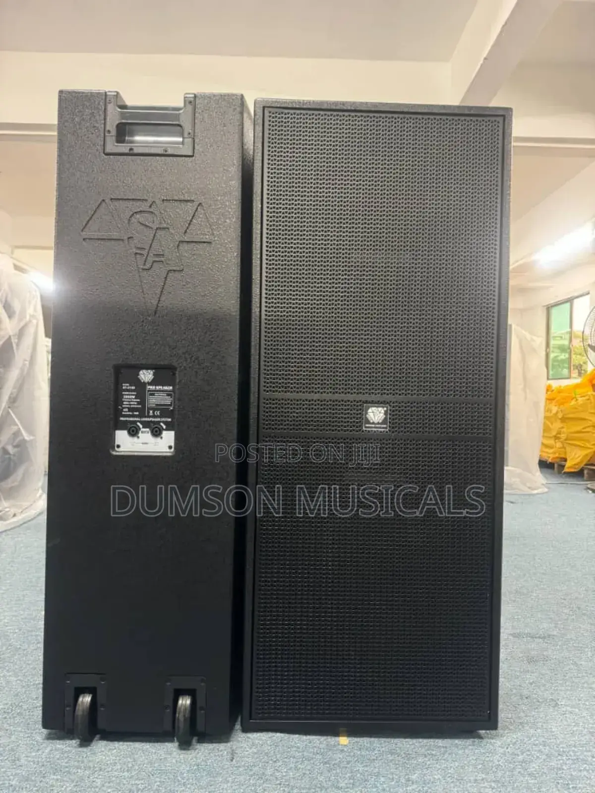 Steck Audio Full Range Speakers Big Magnet St215d