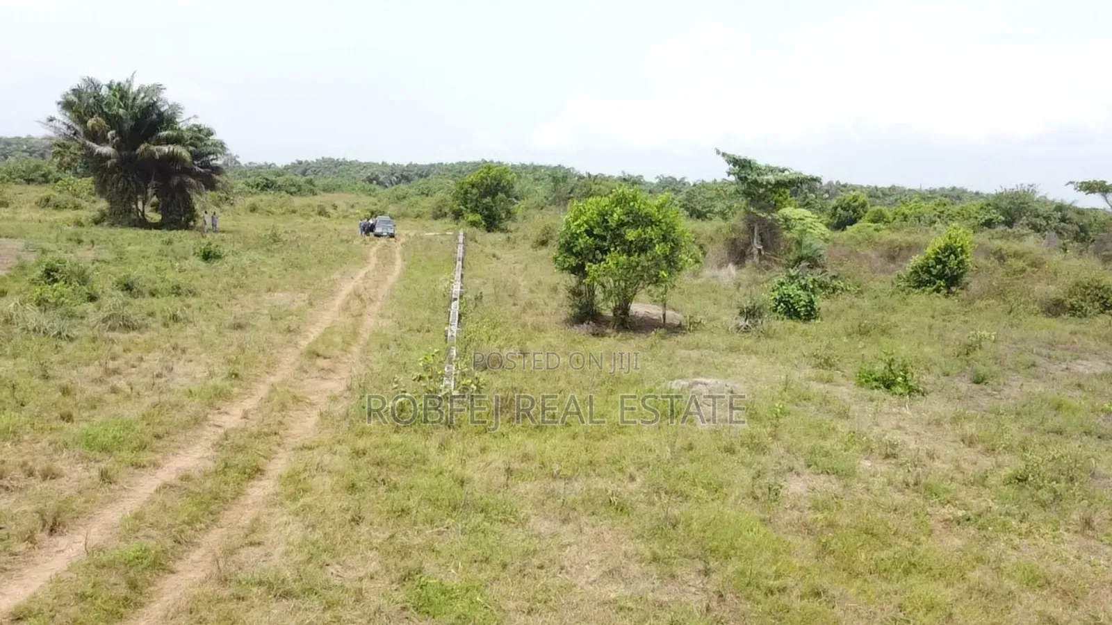 Prime 40 Acres Investment Opportunity