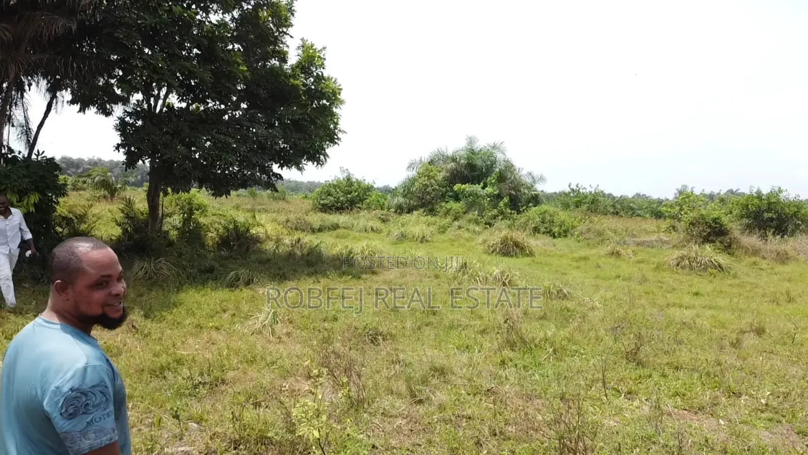 Prime 40 Acres Investment Opportunity