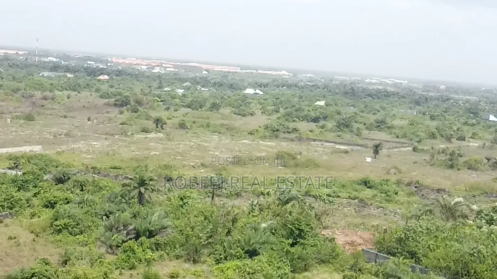 Prime 40 Acres Investment Opportunity