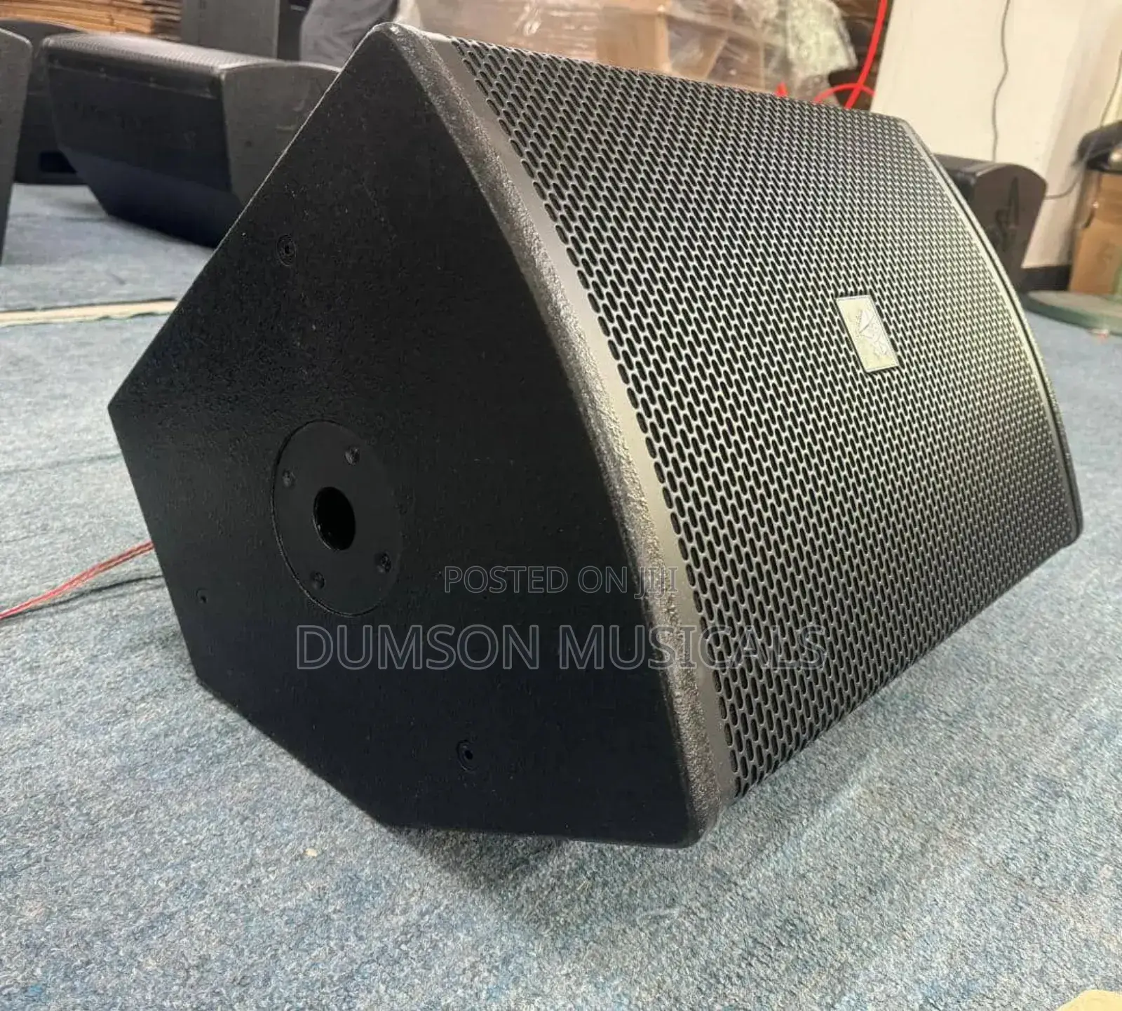 Steck Audio 12 Inches Hanging Speaker/Floor Monitor