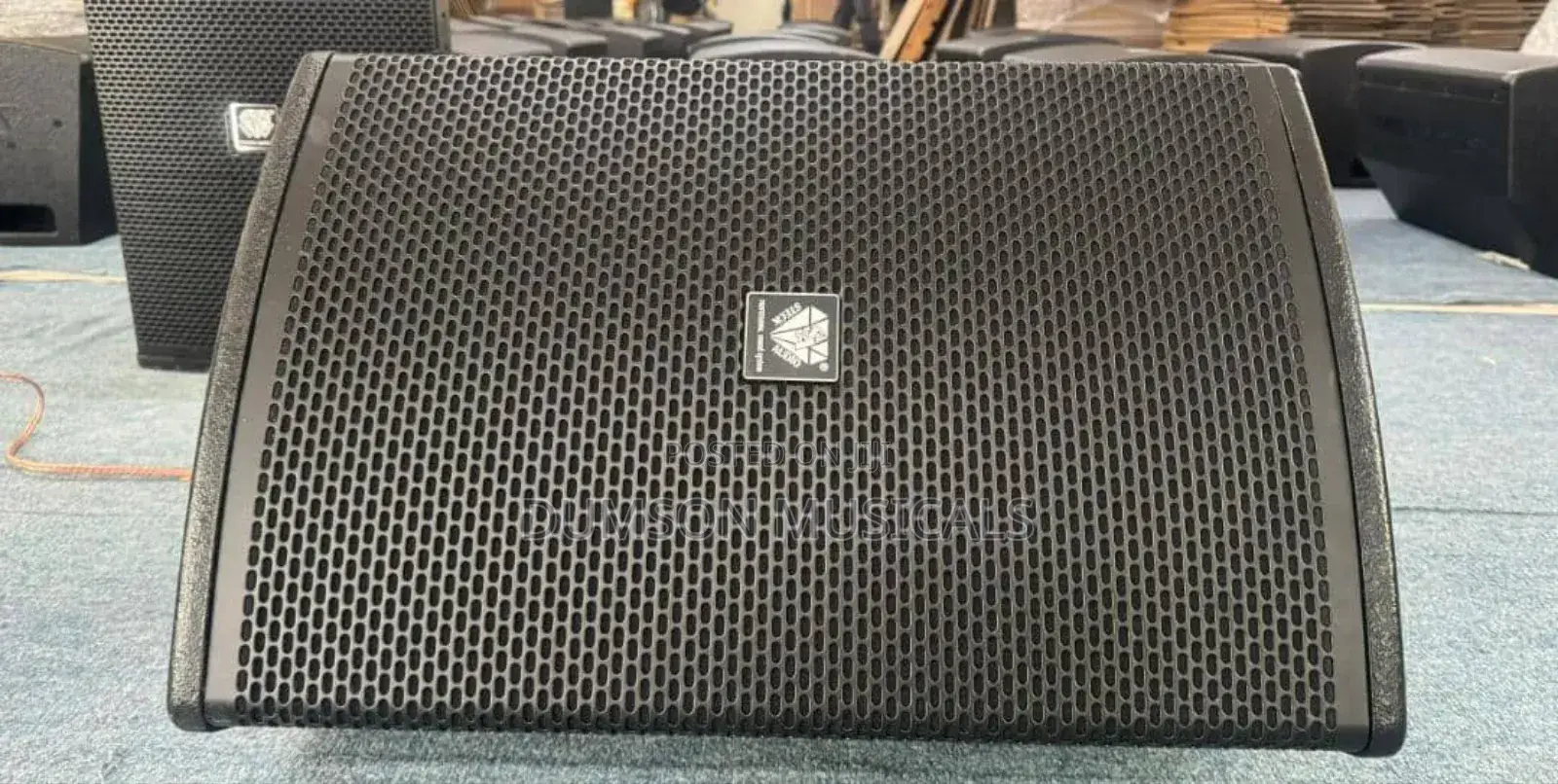 Steck Audio 12 Inches Hanging Speaker/Floor Monitor