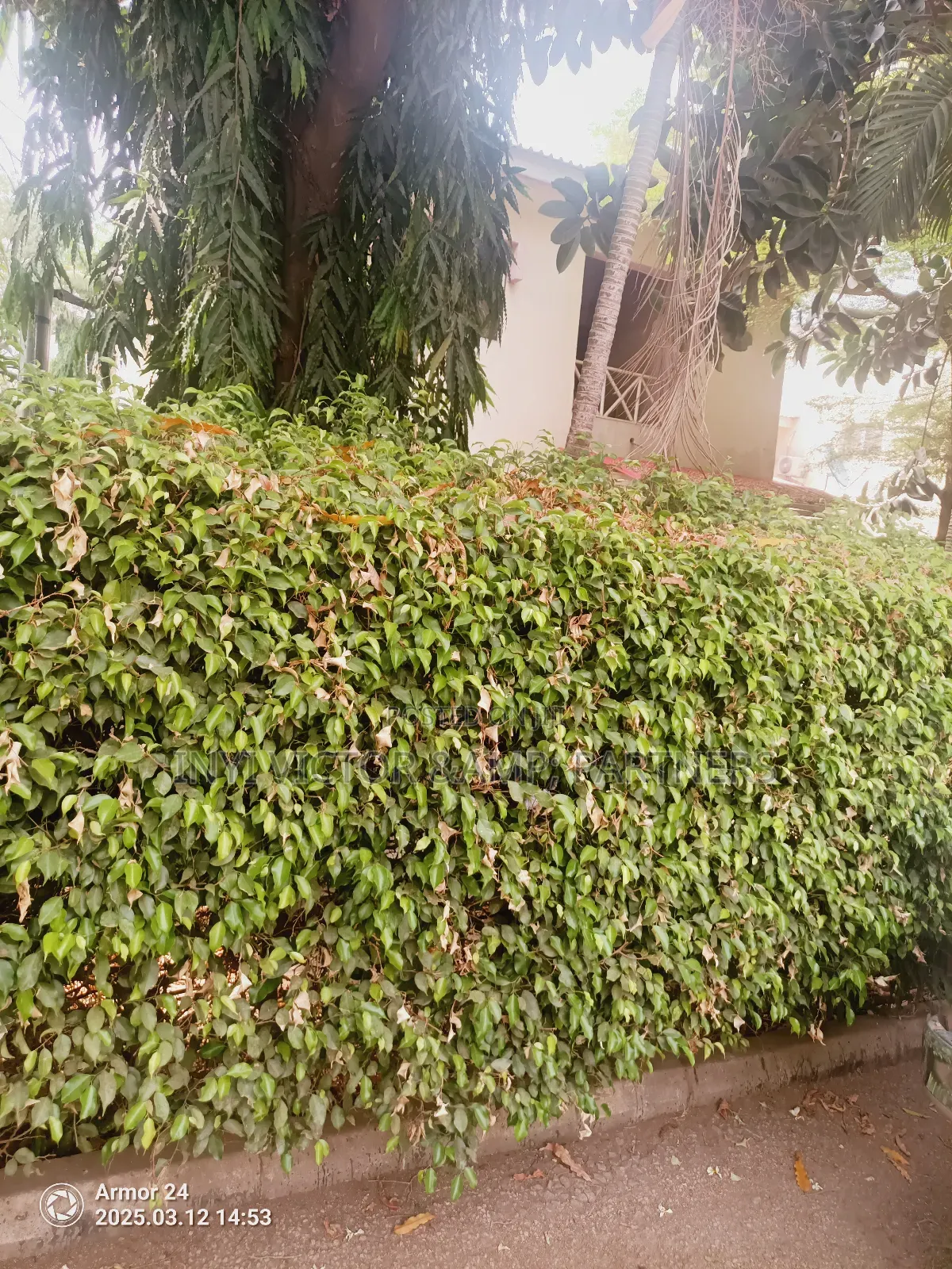 5bdrm Duplex in Wuse 2 for sale