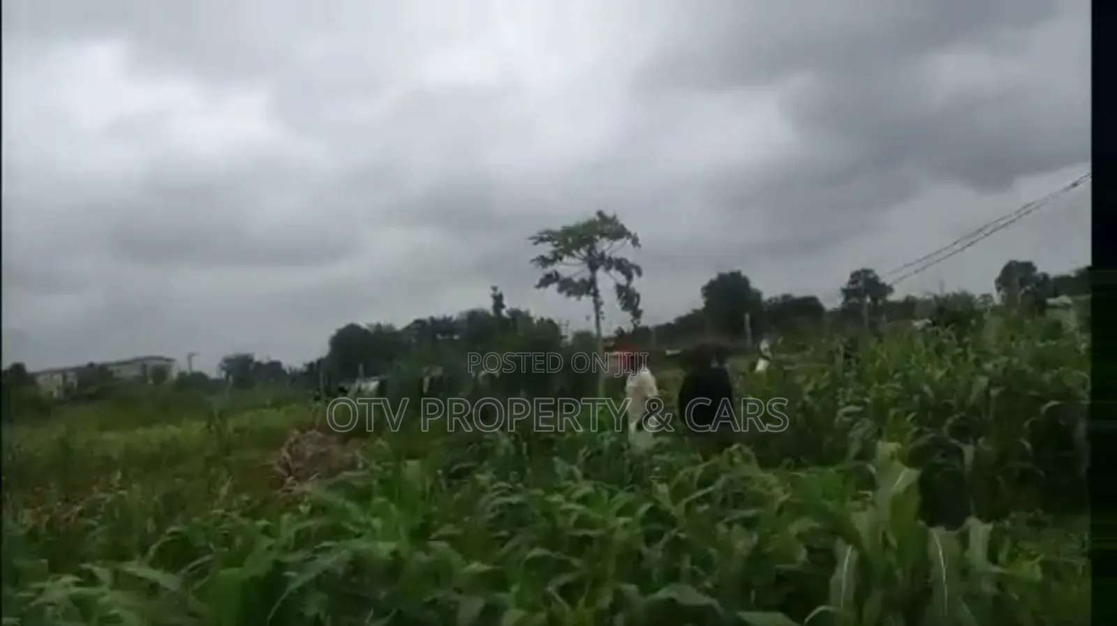 6 Hectares/15 Acres of Land at Ikeja Gra for Sale