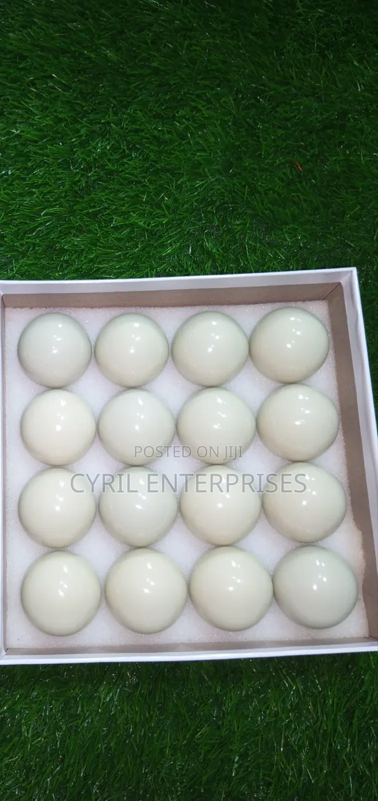 White Snooker Balls