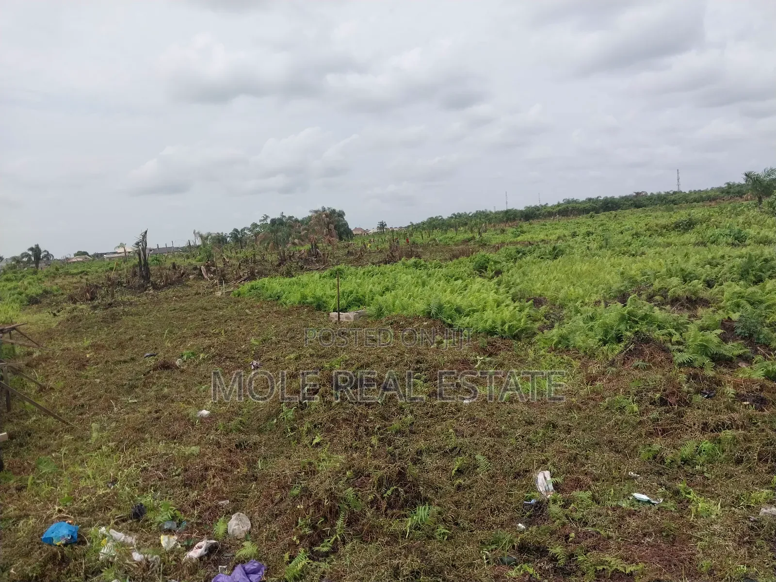 Half Plot 30ft/120ft Ijegun New Expressway