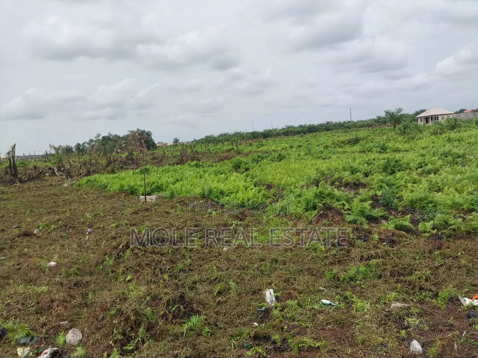 Half Plot 30ft/120ft Ijegun New Expressway