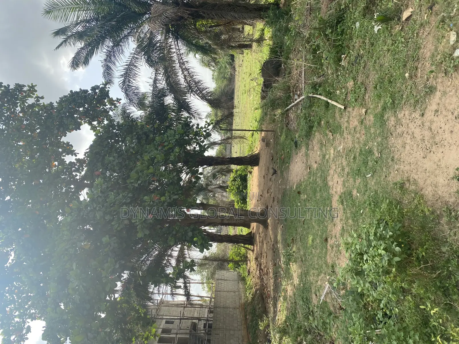 Half a Plot at Science Road Magodo Phase 1