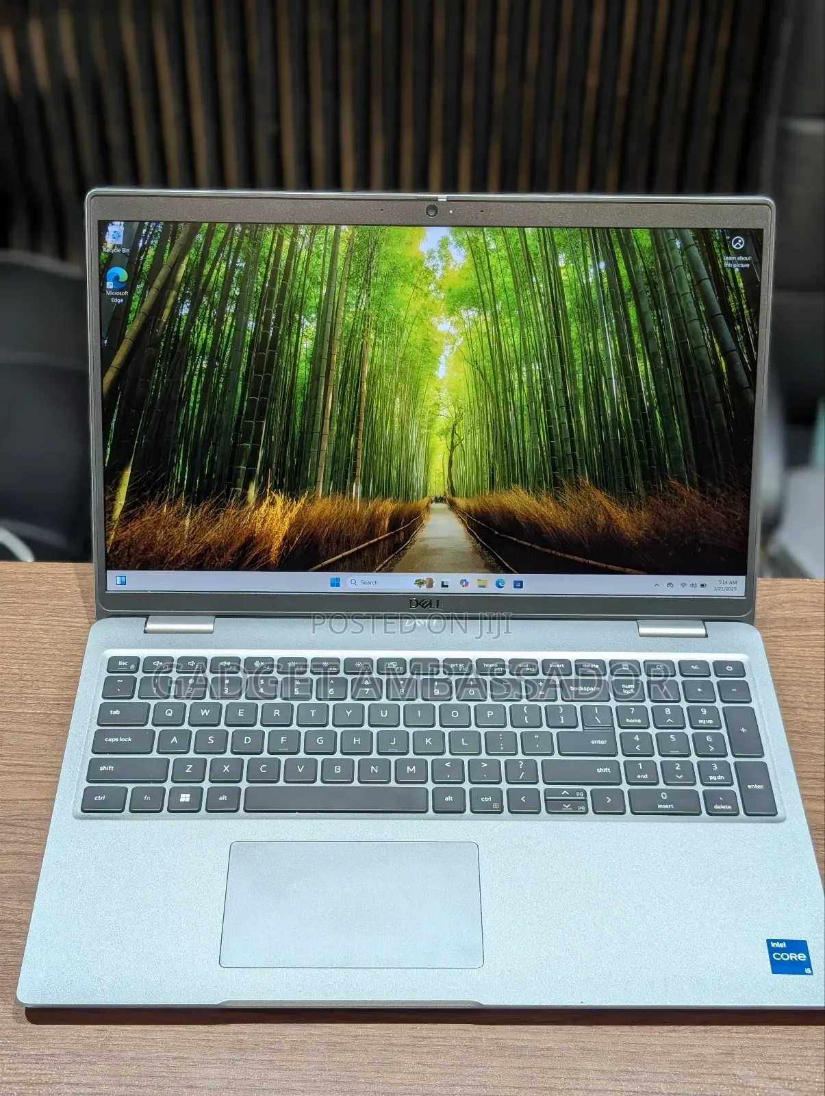 Laptop Dell Latitude 5530 16GB Intel Core I5 SSD 256GB