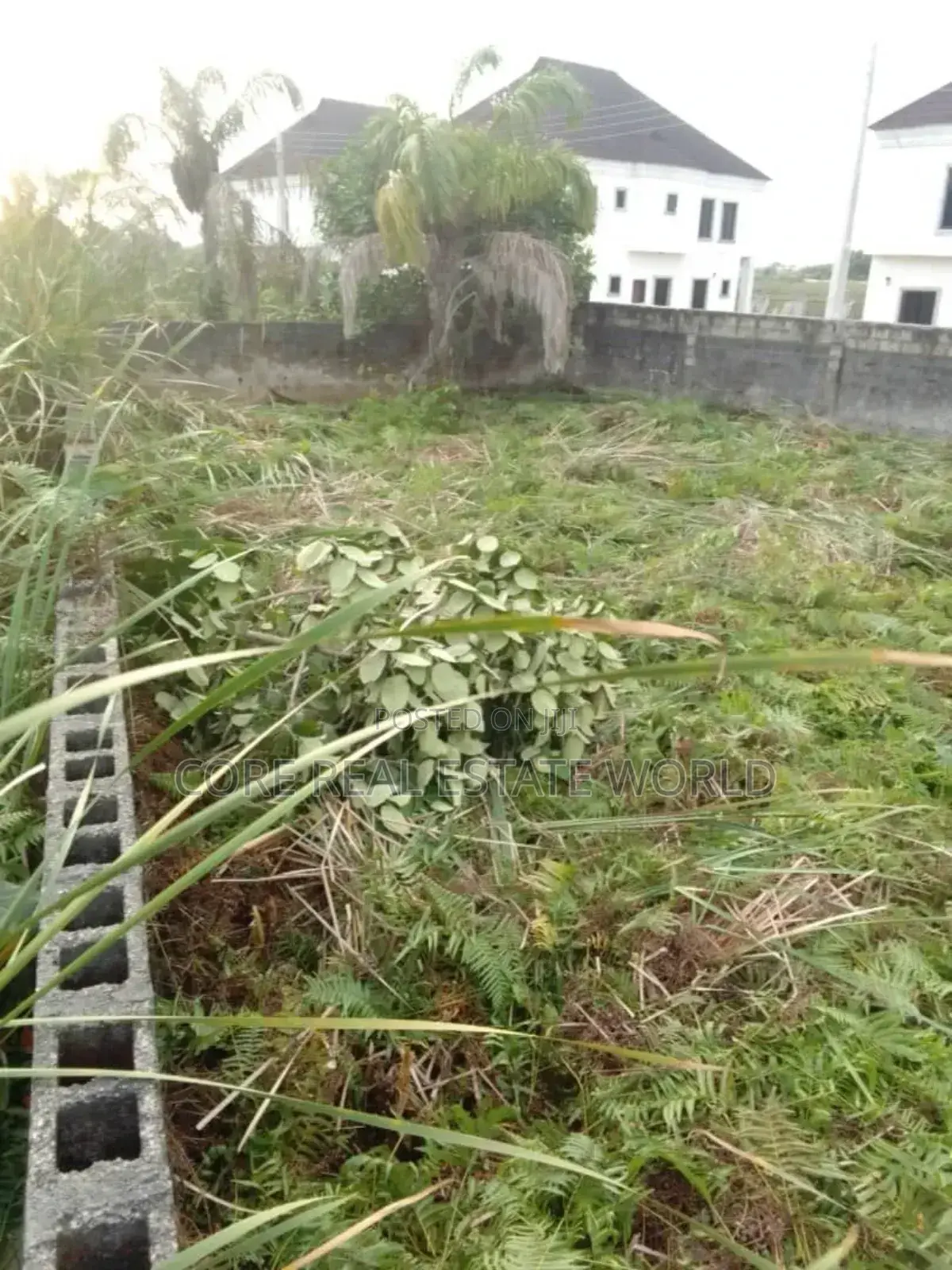 Buy And Build Land, Mgbakwu Akwa Anambra State