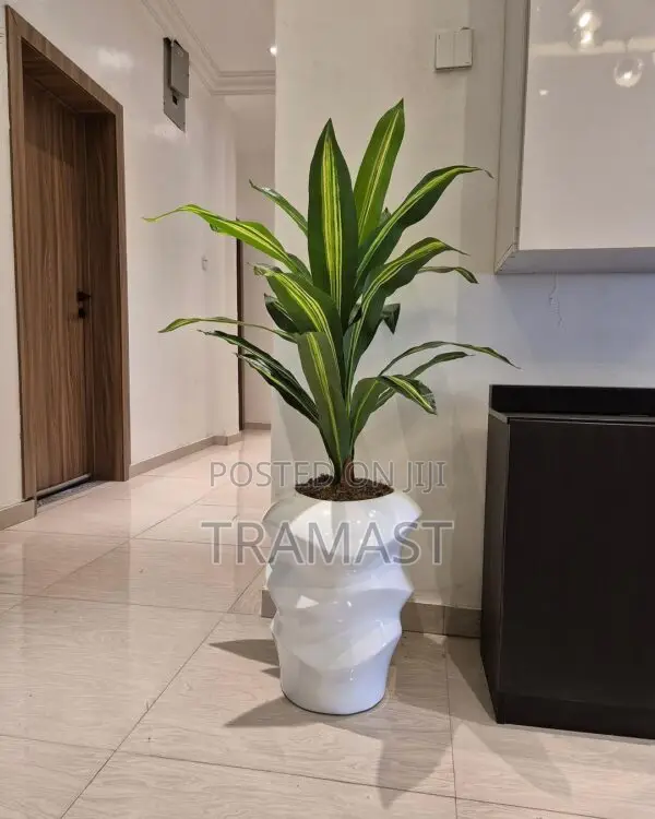 Artificial Dracaena Plant Potted With 42cm Fiberglass Pot