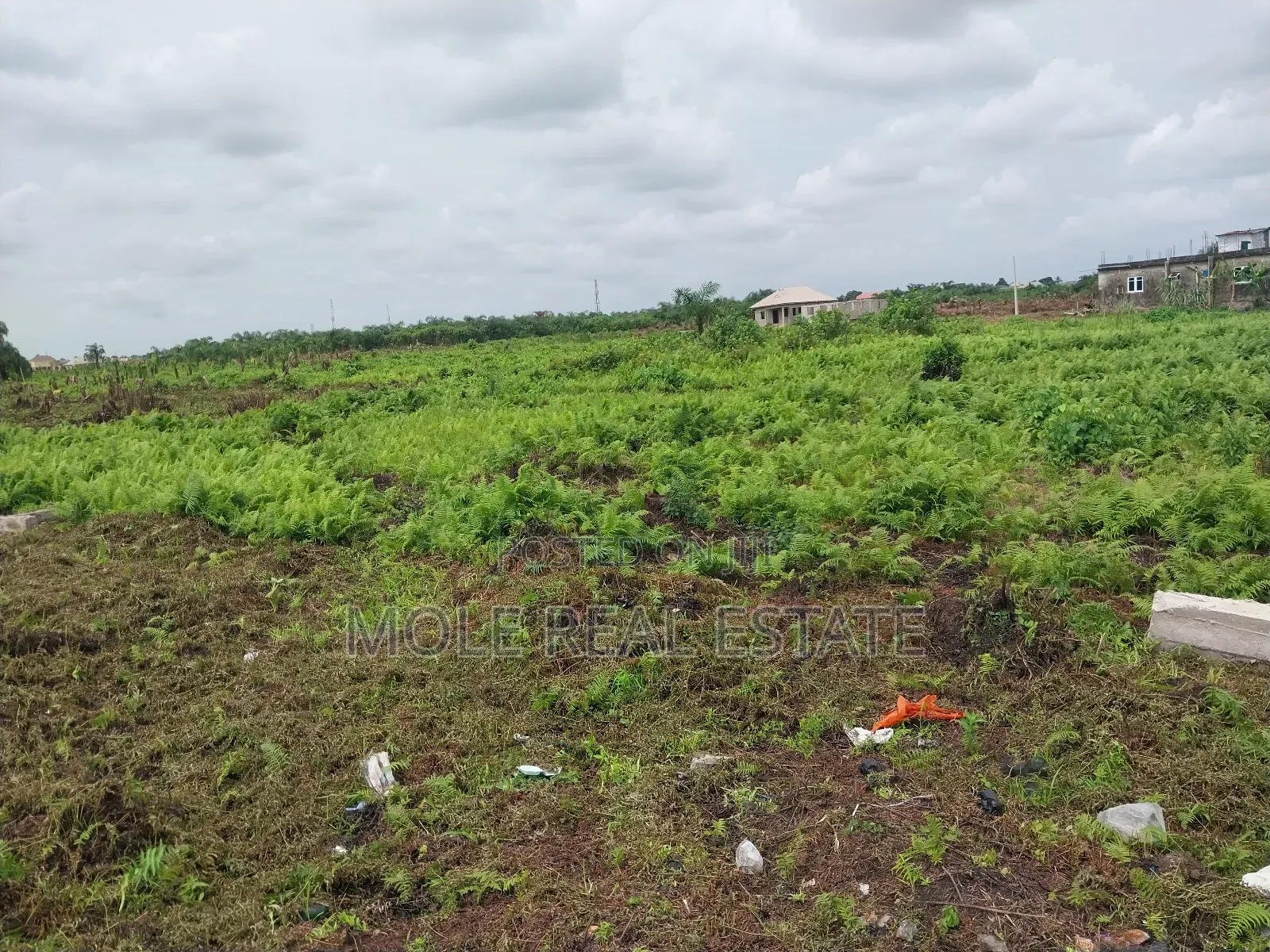 Plots of Land Ikola New Road by Ogun Bridge